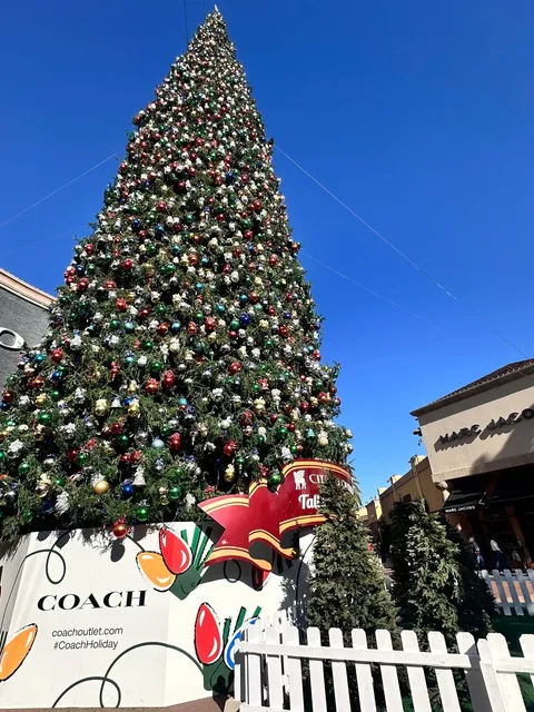 🎠 ₊⁺ LA Disney Day 🏰🎡