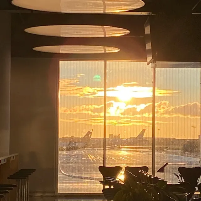 My First Solo Trip Made Me Fall in Love with Copenhagen