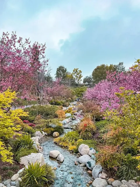 🌿 A Spiritual Sanctuary in San Diego: The Japanese Friendship Garden 