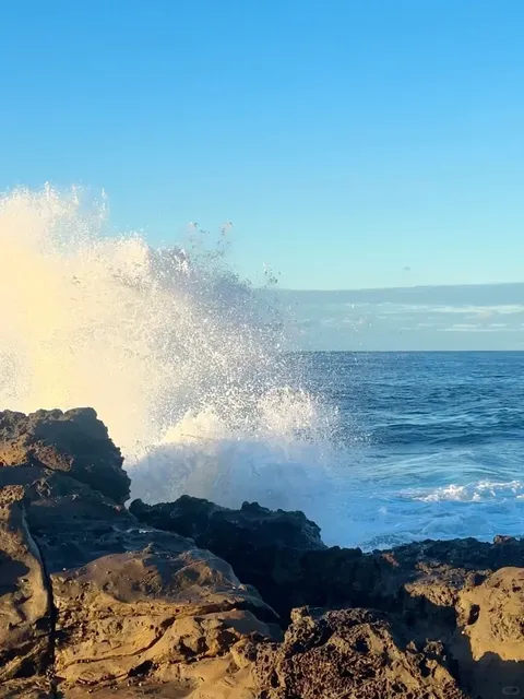 Gerringong: Where Life Pauses in a Living Painting 🎨🌊