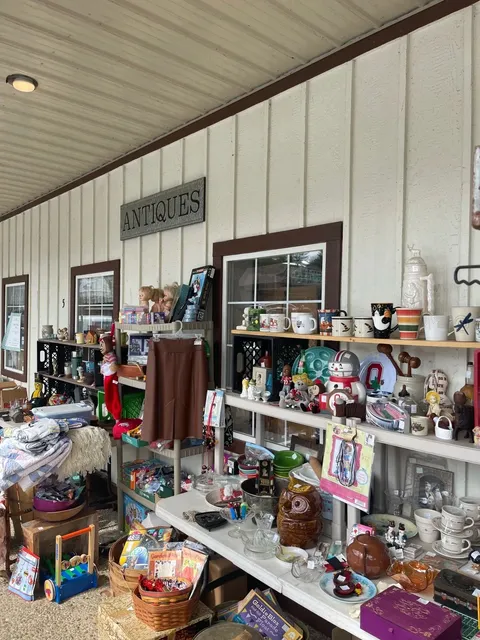 Cincinnati Daily｜Hocking Hills Getaway 🏞️✨