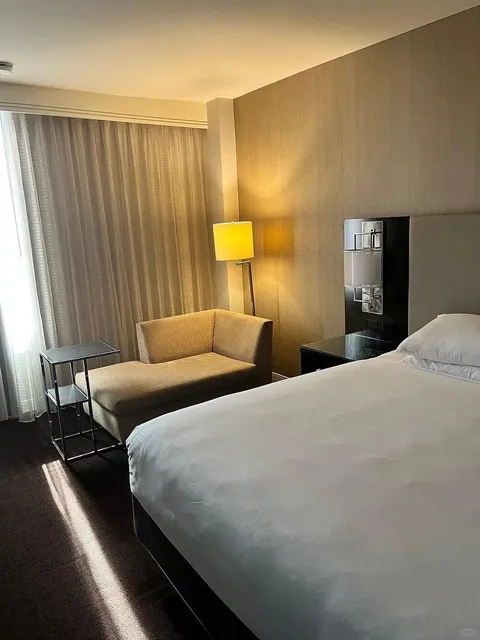 My Favorite Hotel in NOLA! So good and crazy affordable! 😭