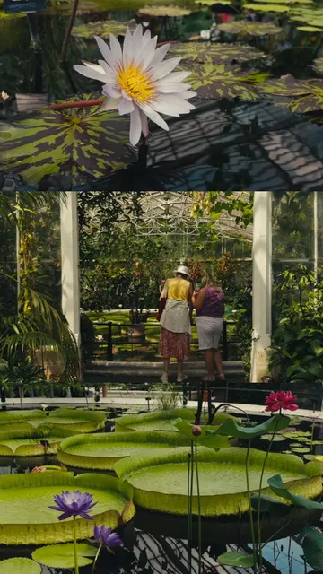 ​​Kew Garden｜Kew Hand Cream 🪷​​