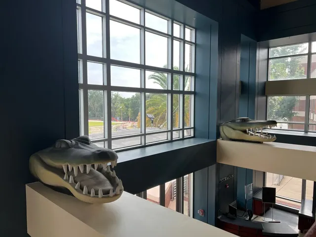 Gainesville Day Trip 🐊🌿