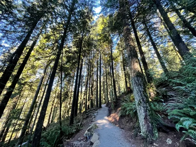 Buntzen Lake – A Scenic Gem in Metro Vancouver 🌲🌊