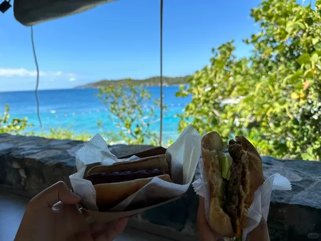 Is This Heaven? | St. Thomas, US Virgin Islands 🌴✨