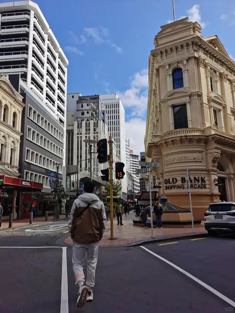 🇳🇿 Mini-Capital Wellington | Sunny Walks & Rainy Museum Days 🌦️