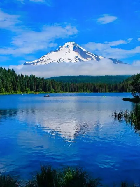 ✨ Trillium Lake: Portland’s Hidden Alpine Gem! 🌲💙