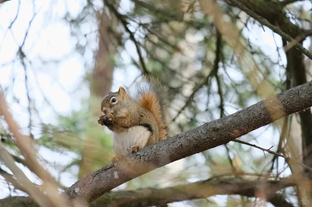 ⏳ How to Spend Extra Hours Before Your Flight from Fairbanks! 🚗✨