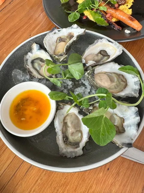 Coffs Harbour ｜ The Highlight of Our Road Trip! 🌟