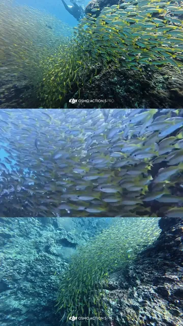 Phuket’s Top 3 Islands: DJI Shines, Capturing Underwater Magic! 