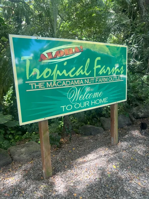 Awesome tour around the island