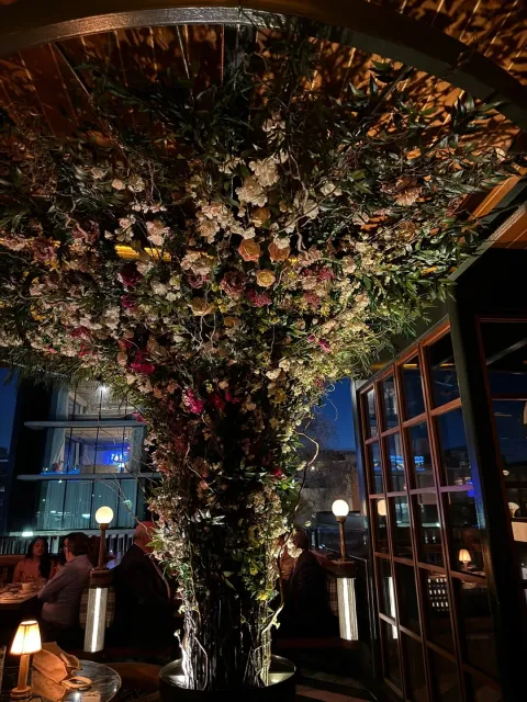 🍸 Wanted – A Chic Spot with Vibes & Views! 🥂