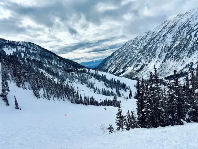 ❄️ "I’ve Officially Shredded Snowbird!" ⛷️