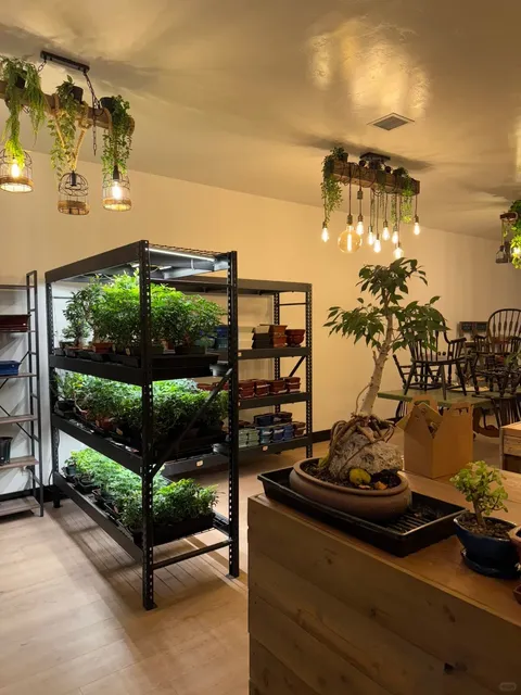 What to Do in Salt Lake City Besides Skiing — DIY Money Tree 🌳✨