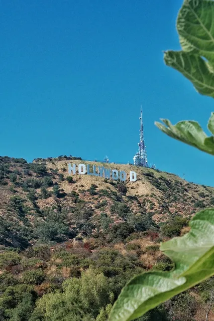 LA Car Service | Airport Pickup $59 🚗✨