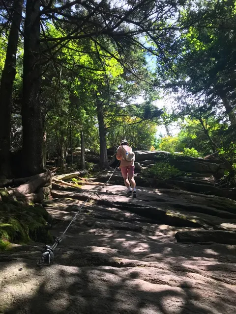 Don’t Miss This Niche Adventure Trail in Charlotte, North Carolina💪