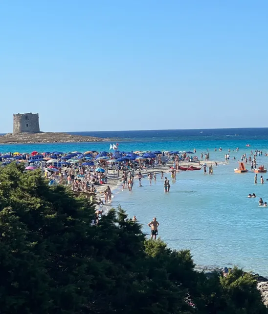  La Pelosa Beach | Sardinia’s Crown Jewel (With Rules!)