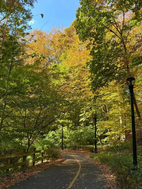Rock Creek Park | DC's Urban Wilderness Escape 🍂🌳