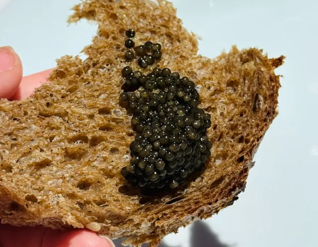 Affordable Caviar & Michelin in Moscow