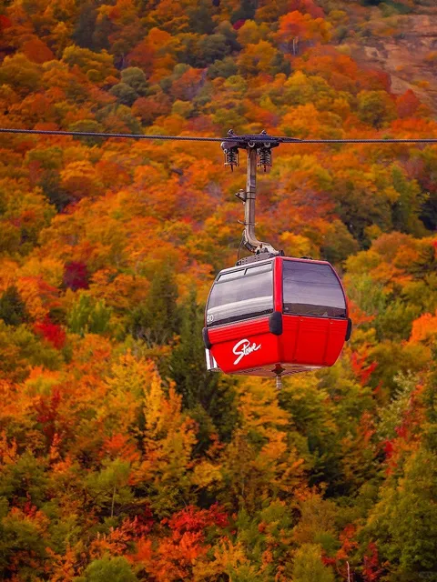 Best Places to See Fall Foliage in the Northeast!