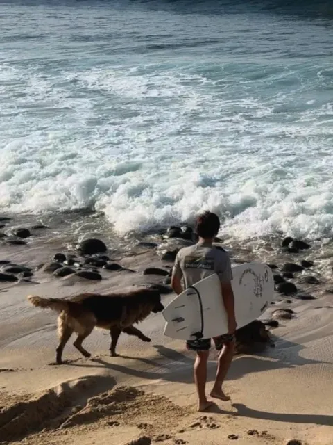 Endless Summer: Surfing Dakar's Wild Waves 🌊🌍