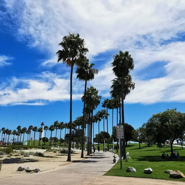 ✨Hidden Gem in Los Angeles｜Long Beach: A Healing Getaway for Locals🌿✨