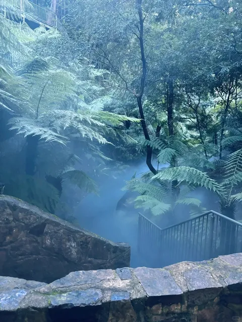 🇦🇺 Where to visit in Canberra | National Botanic Garden 🌳