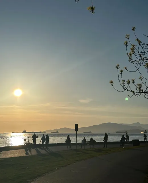 Highly Recommended Sunset Spot—Cactus Club Cafe