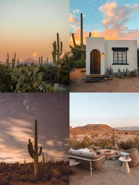 Joshua Tree｜Wild Romance Under the Scorching Sun 🌵☀️  