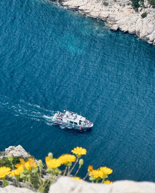 ​​🇫🇷 Marseille | Calanque de Sugiton’s “Jellyfish Sea” 🌊