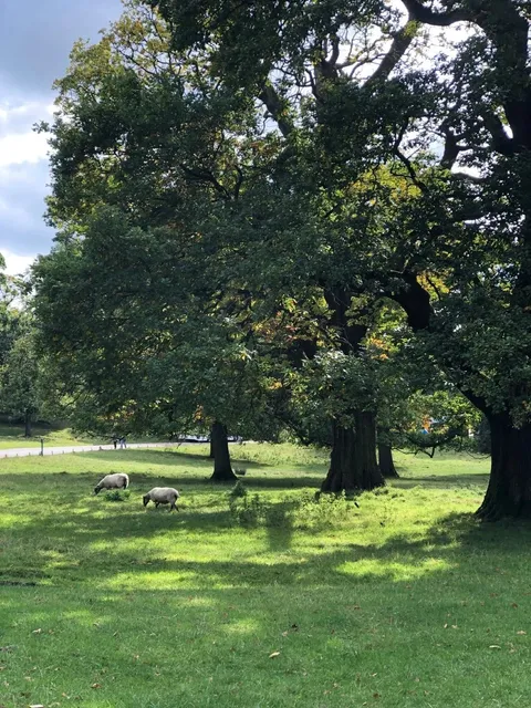 🇬🇧 A Journey to Pride & Prejudice Country: Chatsworth House