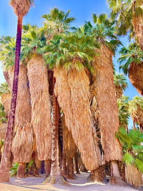 Los Angeles Nearby – That Forgotten Planet of God 🌵🪐