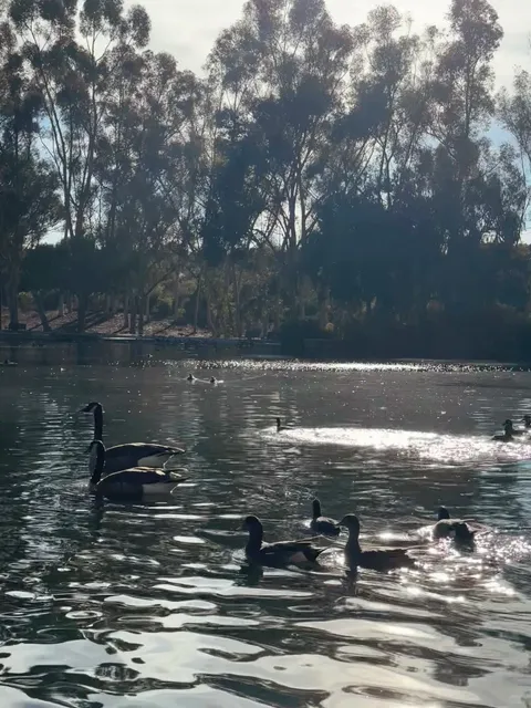 I’m Totally Healed… LA’s Hidden Gem Park: Kenneth Hahn 🌿💫