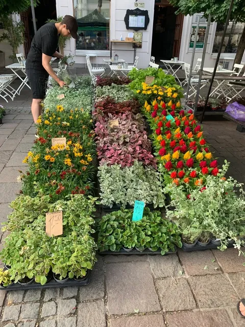 Hidden Gem in Europe: Košice, Slovakia 🇸🇰