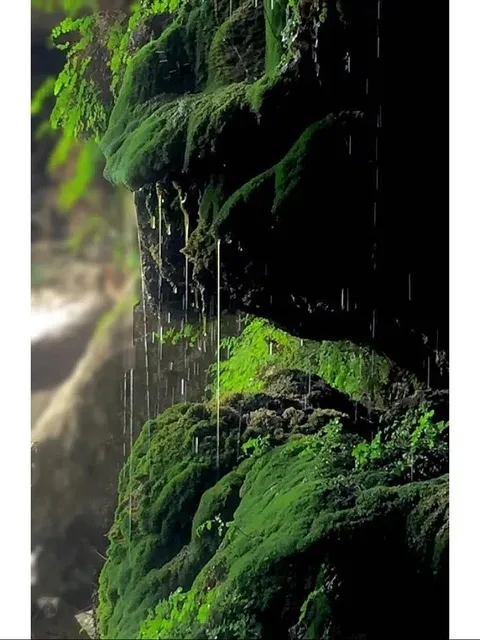 🏝️ Hamilton Pool Preserve: Austin’s Natural Jewel 🌄