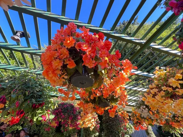 🌸Victoria’s Crown Jewel: The Butchart Gardens 🌿💫