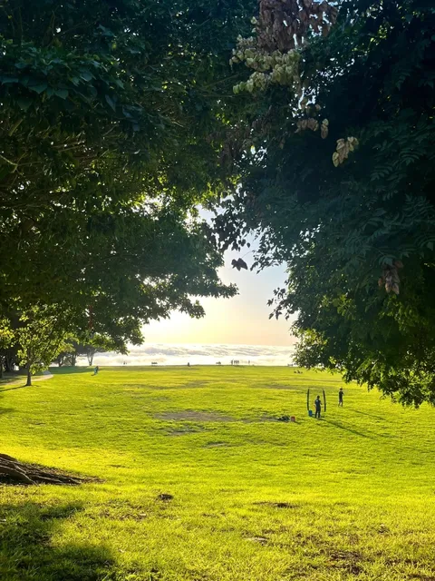 Sunset Spot: Fred Hesse Community Park 🌅