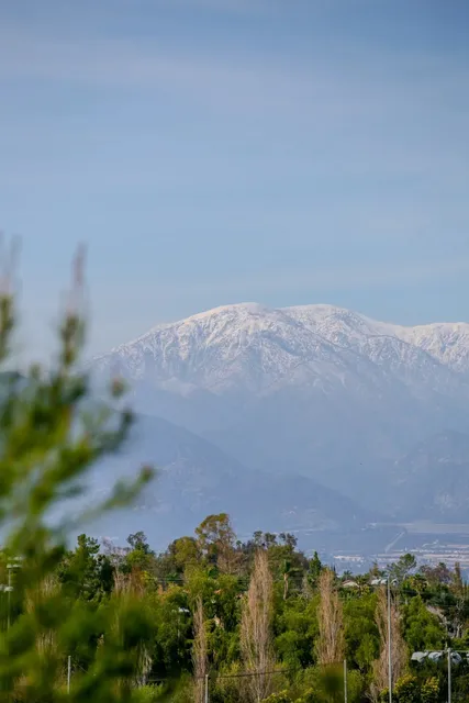 Early Spring Hiking Diary in Chino Hills