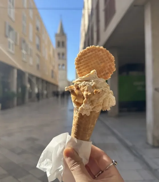 A Hidden Gem in Zadar 🇭🇷