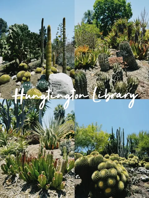 Pasadena's Stunning Gardens 🌸