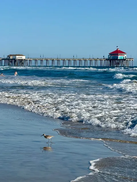 Huntington Beach in LA｜A Vast & Beautiful Stretch of Sand 🏖️✨