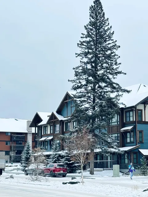 Banff Town | Super detailed guide to Winter Wonderland✨