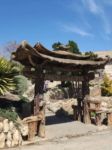 San Antonio's FREE Japanese Tea Garden 🌱 A Hidden Gem!