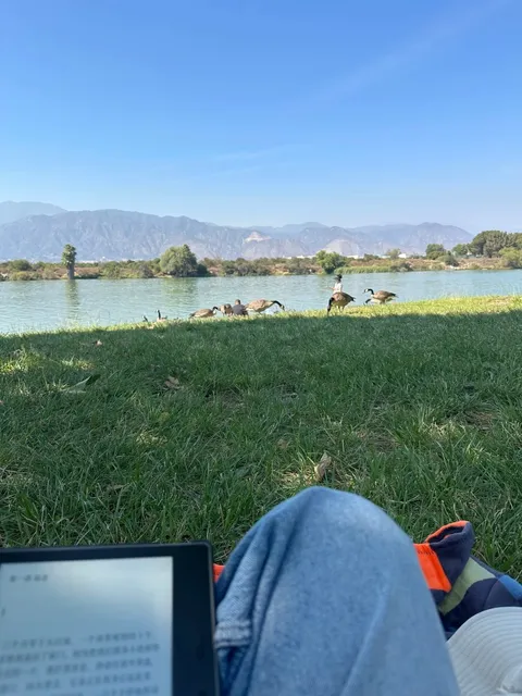 LA Weekend Relaxation｜Santa Fe Dam 🏞️✨