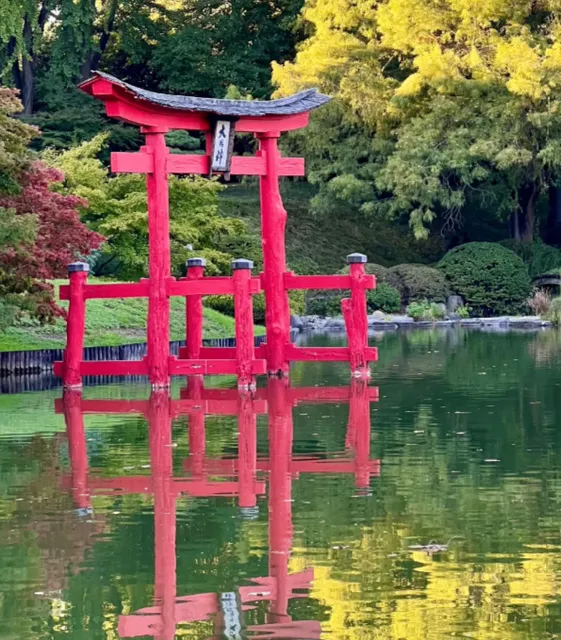 New York Park is next level‼ It really isn't Japanese⛩