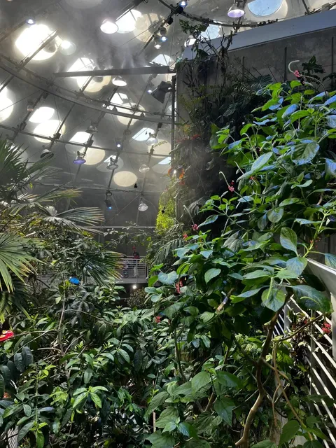 Newly Opened Rainforest Butterfly Exhibit Guide 🦋✨