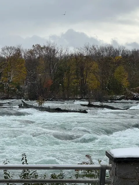 Niagara Falls One-Day Itinerary (U.S. Side) | Nov. Visit