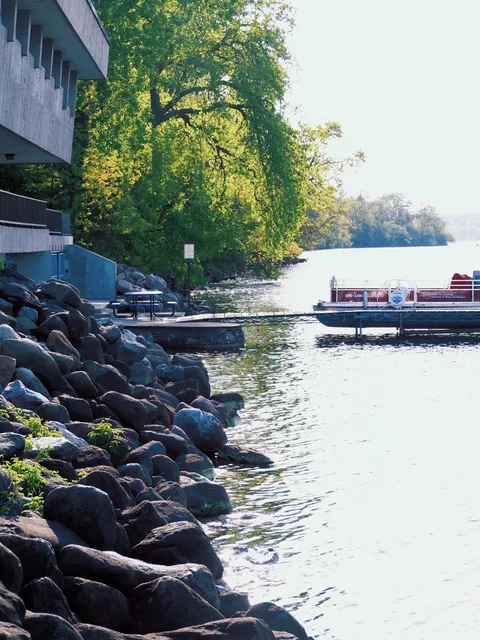 Madison Moments Captured .🧩