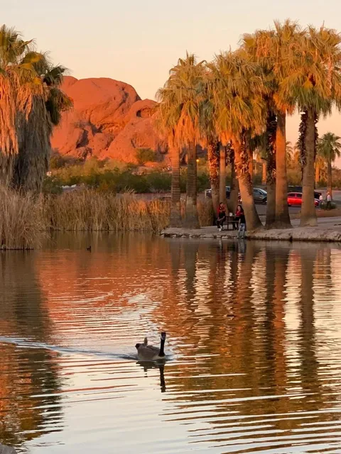 Phoenix Regrets: Must-Do List for Next Time! 😭🌵